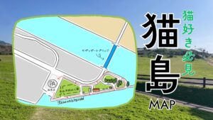 石垣島の猫島行き方