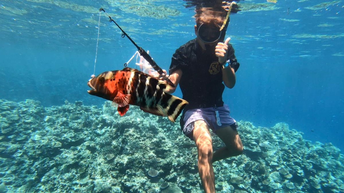 石垣島出身シュノーケリングで泳ぎ釣り
